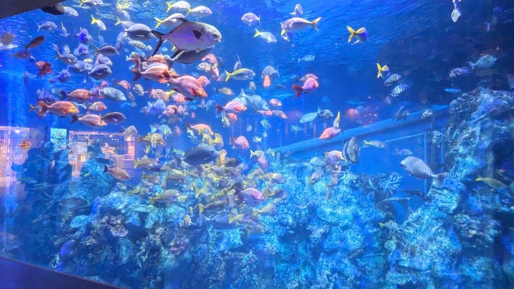 鳥羽水族館④ / 5