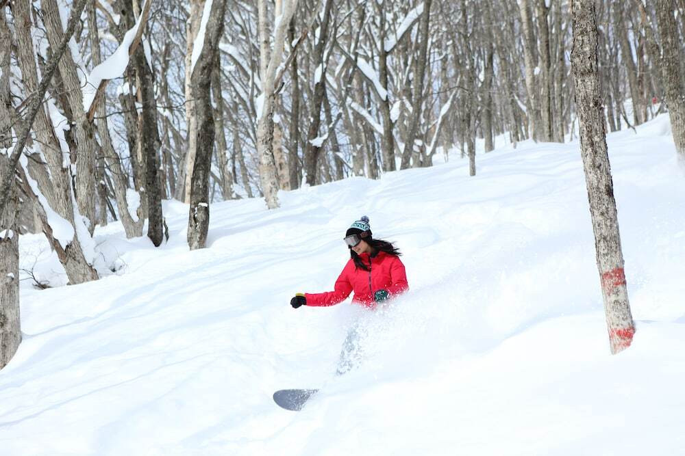 スノー スポーツとスキー