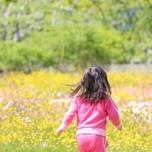 妖精が出てきそう「えこりん村」がとってもロマンチック
