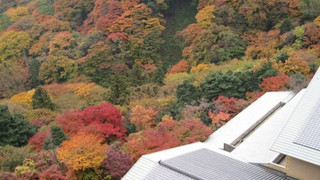 和室 エグゼクティブ（12.5畳＋4畳の露天風呂付）