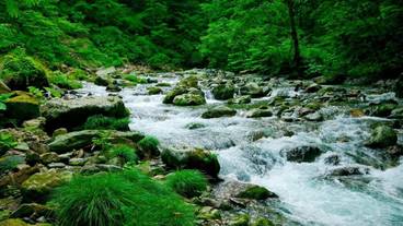 施設の敷地 / 20