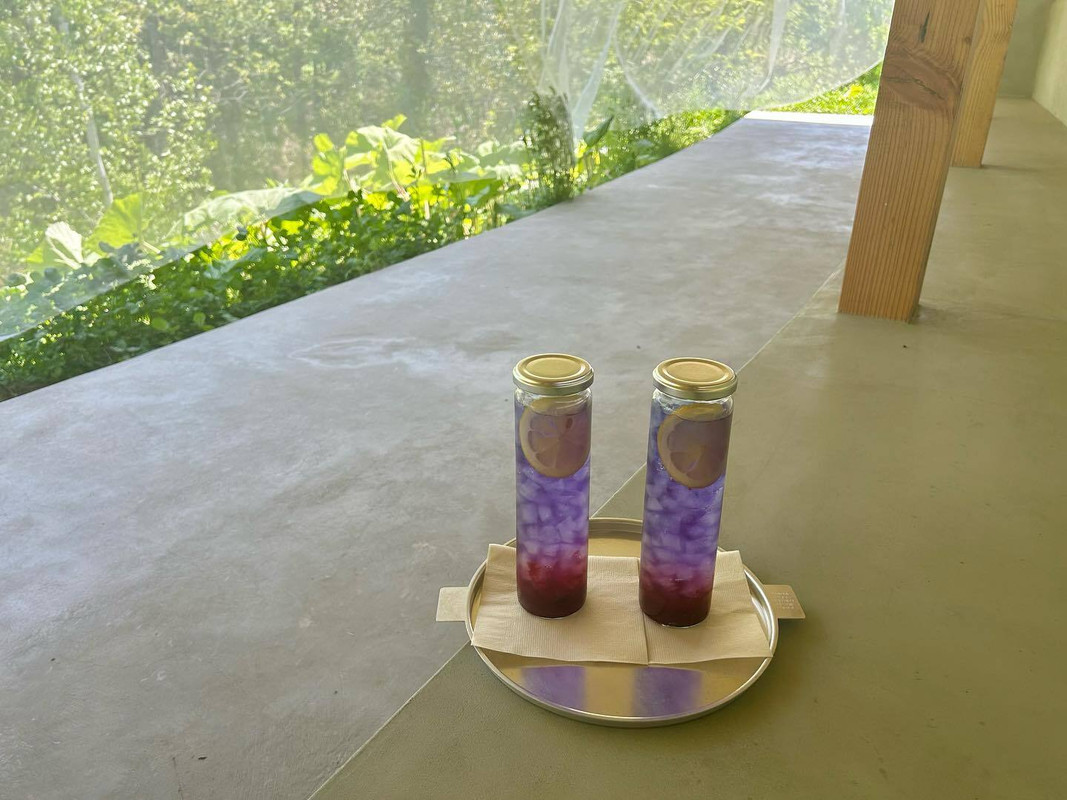 921_hrさんの写真 / 2