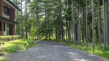 施設の敷地 / 35