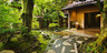 山中温泉 胡蝶