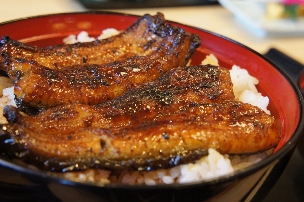 浜名湖の絶景と、うなぎも楽しめる舘山寺温泉へ4090946
