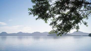 施設からの眺望 / 38