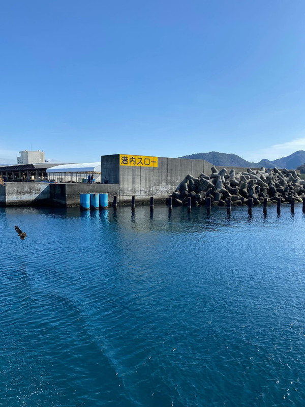 minatoya0711さんの写真 / 5