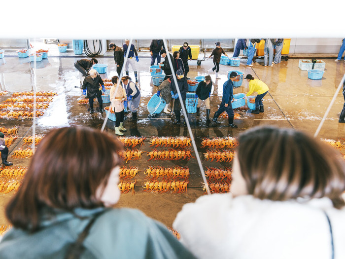 目の前で繰り広げられるセリのスピード感と迫力に圧倒されるふたり