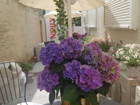 Hotel Blue Empire in 新宿 / 3