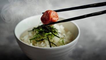 レストラン / 18