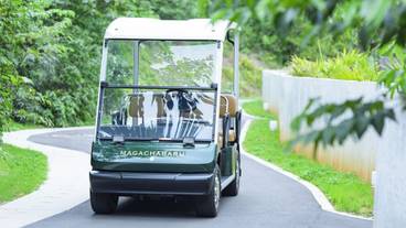 施設の敷地 / 15