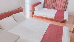 EUROPEAN HOUSE REISEN