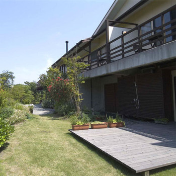 椿オイルを使ったエステはいかが？上質なひとときに身をゆだねる4264240