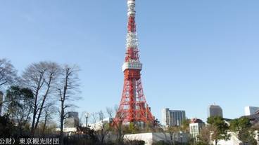 観光スポット / 11