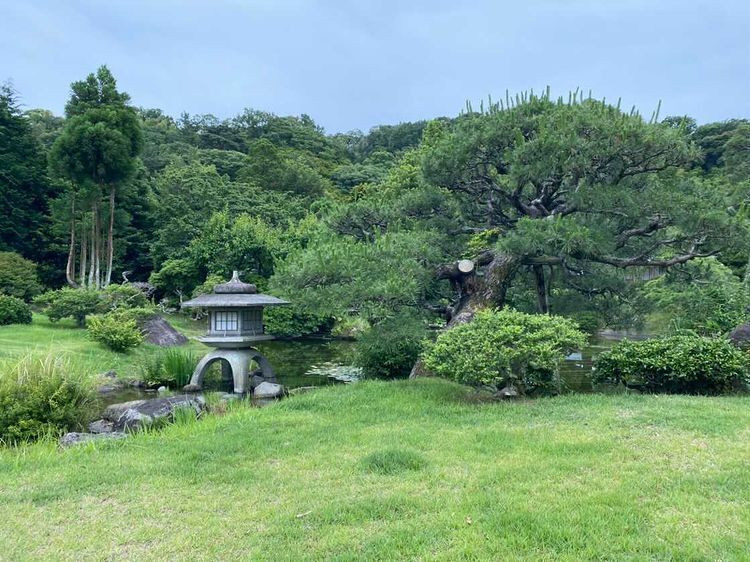 naoe.colonさんの写真 / 1