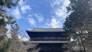 ランド ビュー / 40