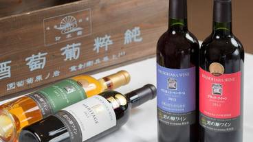 食事・飲み物 / 8