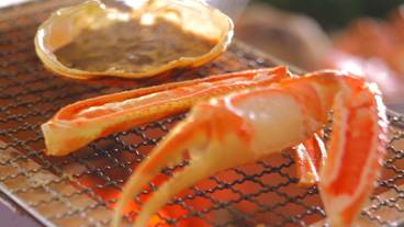 食事・飲み物 / 1