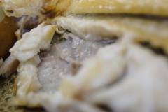 鮮魚食堂 かわしま