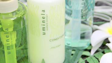 バスルームの設備 / 33