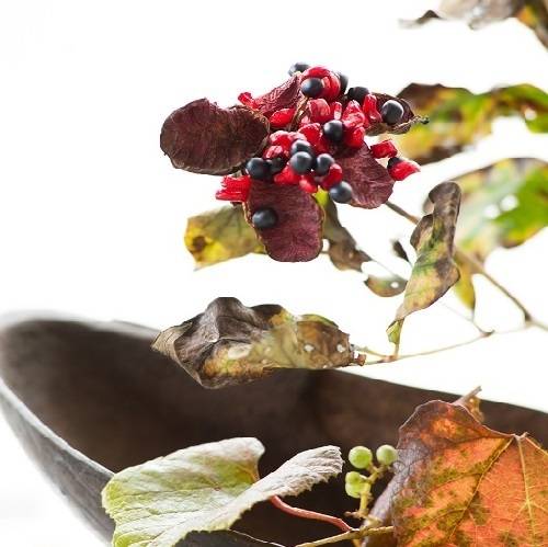 プリミティブアートと
花の競演 / 2