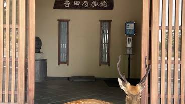 メイン イメージ / 1