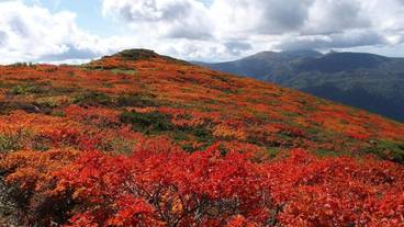 マウンテン ビュー / 11