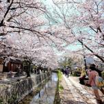 京都を歩く【銀閣寺・平安神宮】周辺のおすすめ定番観光スポット9選