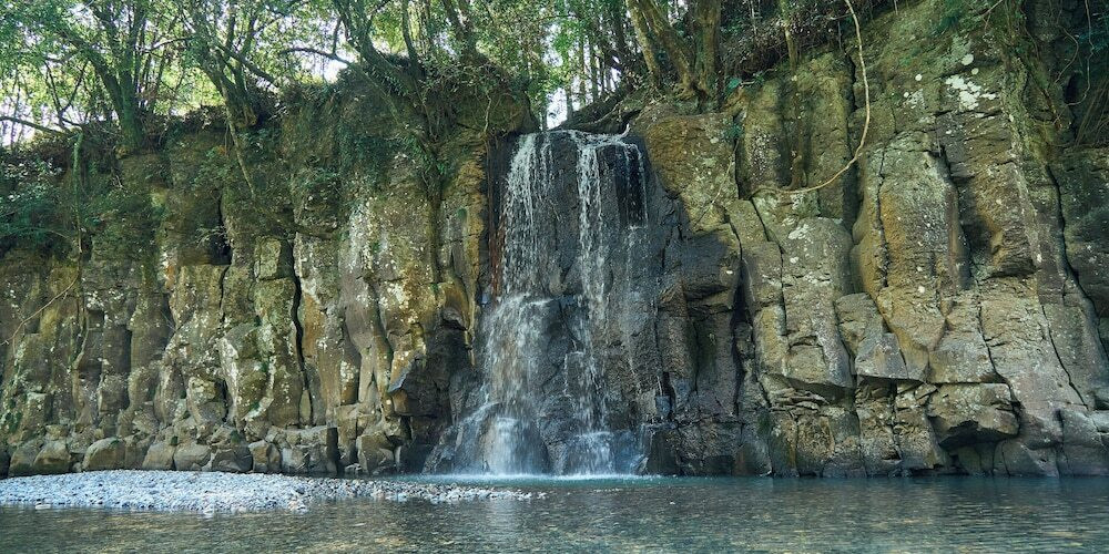 施設からの眺望