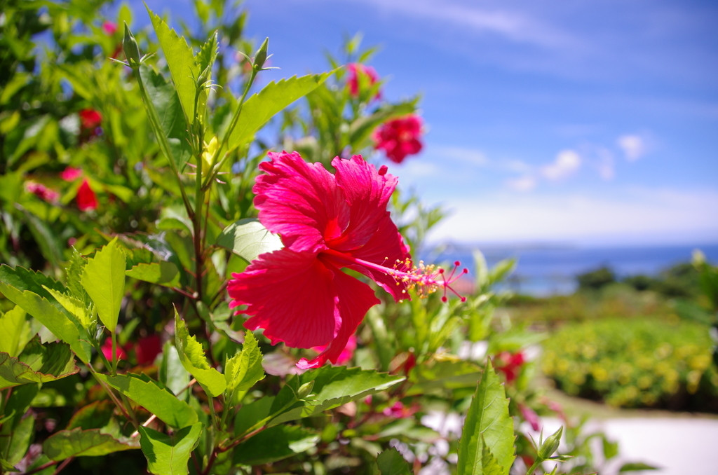 那覇旅行は格安コスパ最強ホテルに泊まろう！3434070