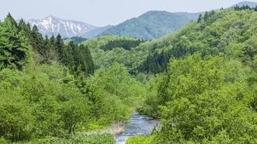 ハイキング / 10