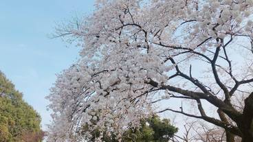 観光スポット / 5