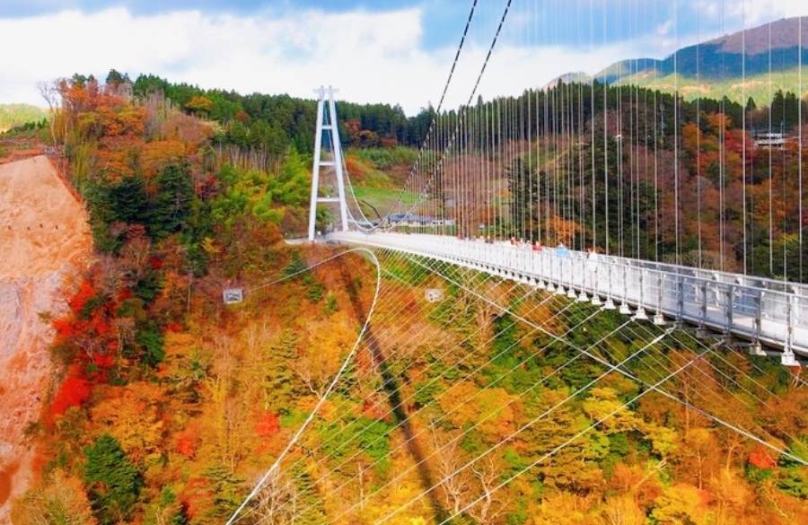 絶景を一望！
スリル満点の吊橋へ / 1