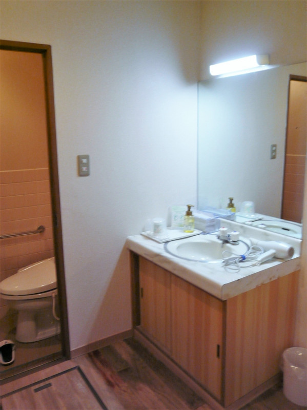 独立型洗面台とトイレ