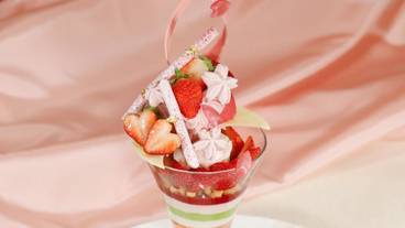 食事・飲み物 / 13