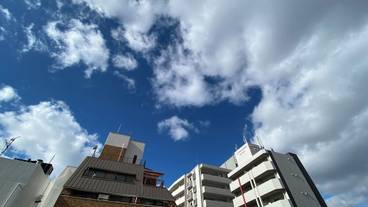 バルコニーからの眺望 / 14