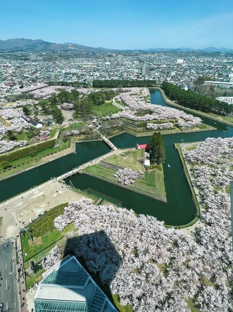 shamoji_7さんの写真 / 1