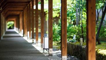 建物のデザイン / 10