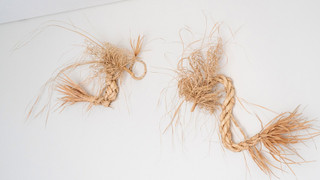 プレミアム プールヴィラ 4 ベッドルーム 禁煙 サウナ