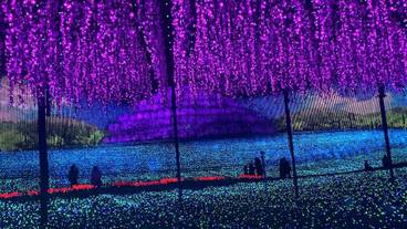 エコツアー / 19