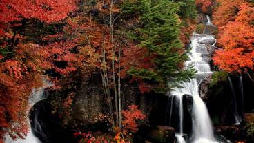 観光スポット / 1