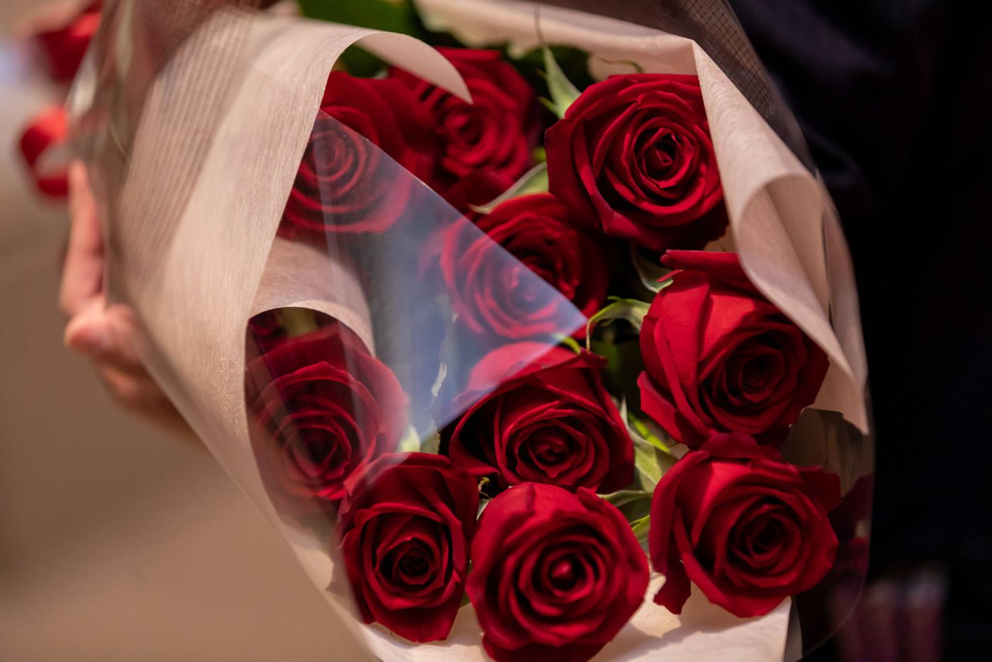 赤いバラ 花束 プロポーズ