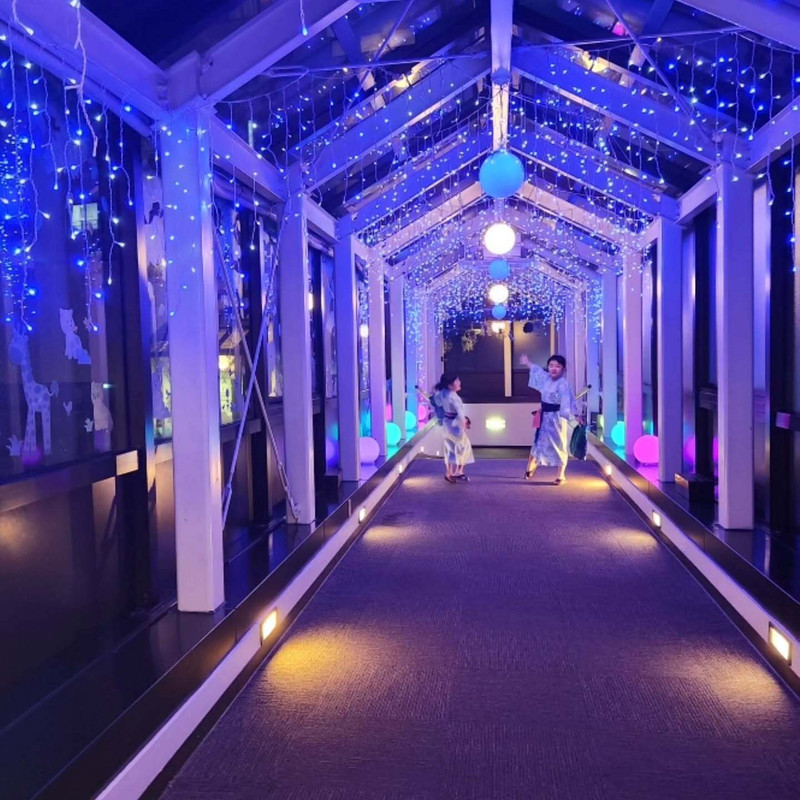 mirippe27さんの写真 / 2