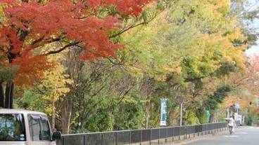 シティ ビュー / 7