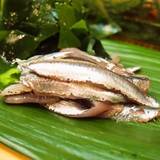 鮨 おゝ井（スシオオイ）