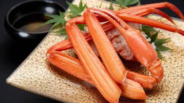 食事・飲み物 / 32