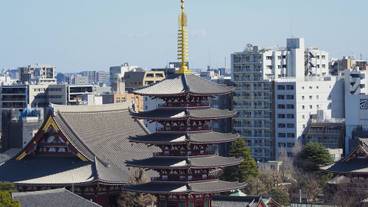 シティ ビュー / 21