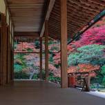 紅葉さんぽのあとは近くの名物グルメでひと休み。セットで行きたい京都の名所とグルメ7選