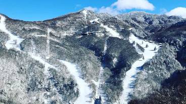 観光スポット / 11