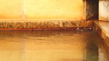 共用バスルーム / 15